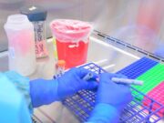 Con una ‘paleta’ detectarían COVID-19 en niños; evitaría brotes en escuelas