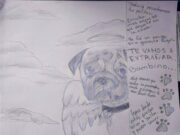 Despide a su perrito con un dibujo