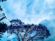 Llegó la primavera! Pero… ¿dónde está el calor?