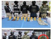 Asegura fiscalia veracruzana un tigre y un cocodrilo tras cateos