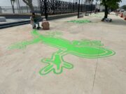 Casi listo, nuevo «iguanero» en Coatzacoalcos