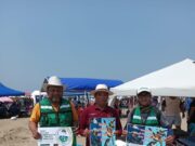 Brigada ambiental de Coatza llama a turistas a cuidar tortugas marinas