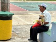 Llaman a ser tutores responsables de perros y gatos en Coatza
