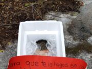 En Tabasco detienen a presunto involucrado en hallazgo de cabeza humana en Coatza