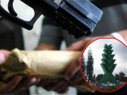 Encabeza Xalapa denuncias por extorsión en Veracruz