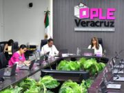 Garantiza OPLE recursos para elección judicial en Veracruz