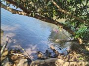 Terror en río San Juan de Juan Díaz Covarrubias