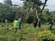 Rayo mata a dos campesinos en comunidad rural de Las Choapas