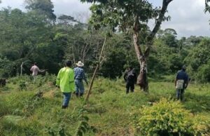 Rayo mata a dos campesinos en comunidad rural de Las Choapas