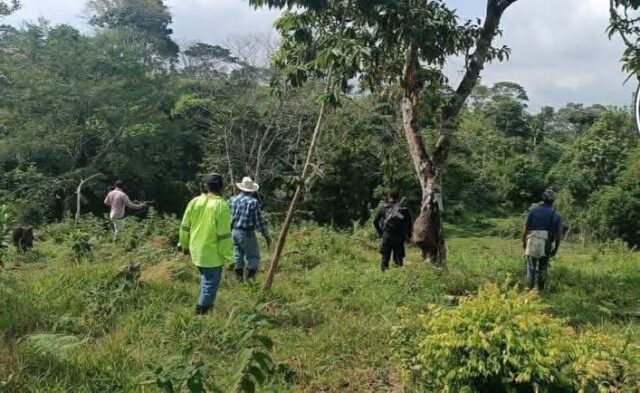 LAS CHOAPAS RAYO (2)